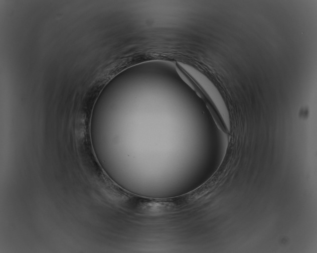 X0000090950323200708241135