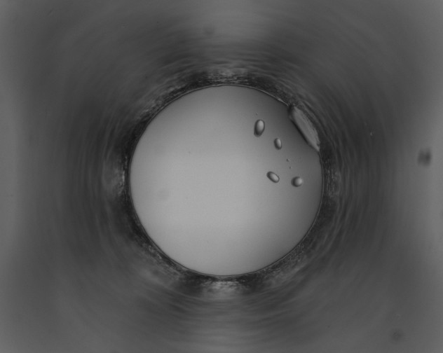 X0000090950324200708241135