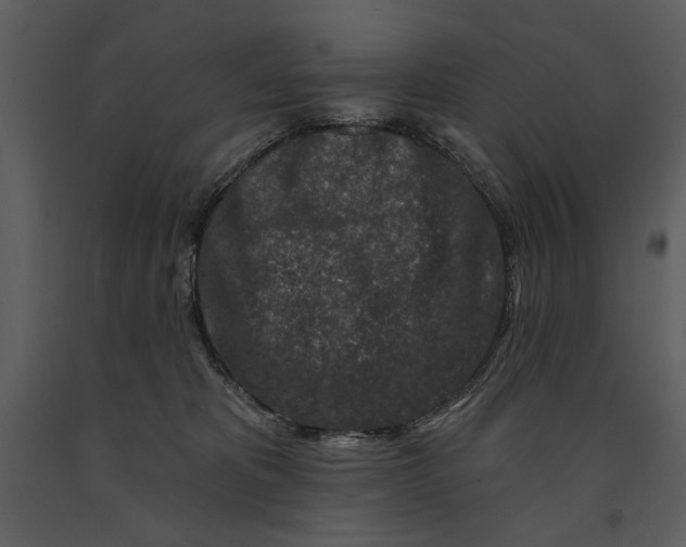 X0000090950325200708241135