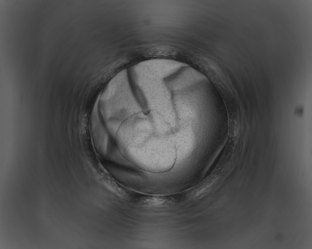 X0000090950326200708241135
