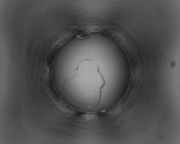 X0000090950327200708241135