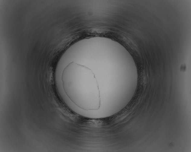 X0000090950328200708241135