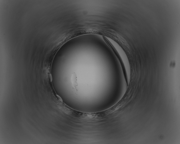 X0000090950329200708241135