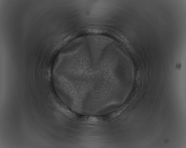 X0000090950330200708241135
