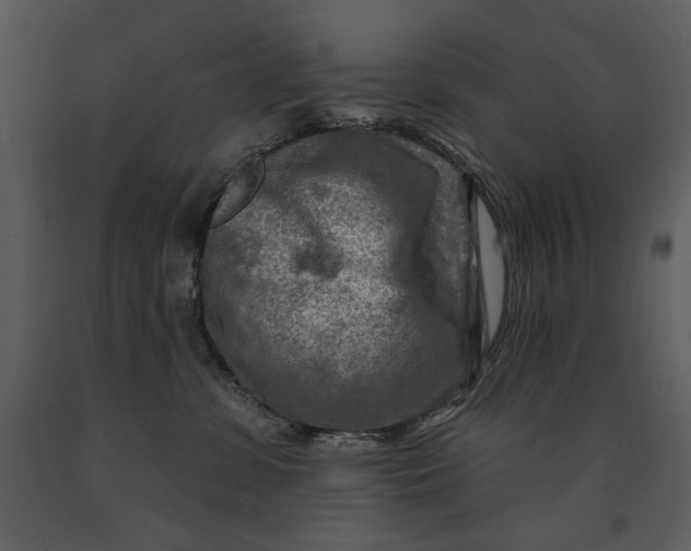 X0000090950331200708241135