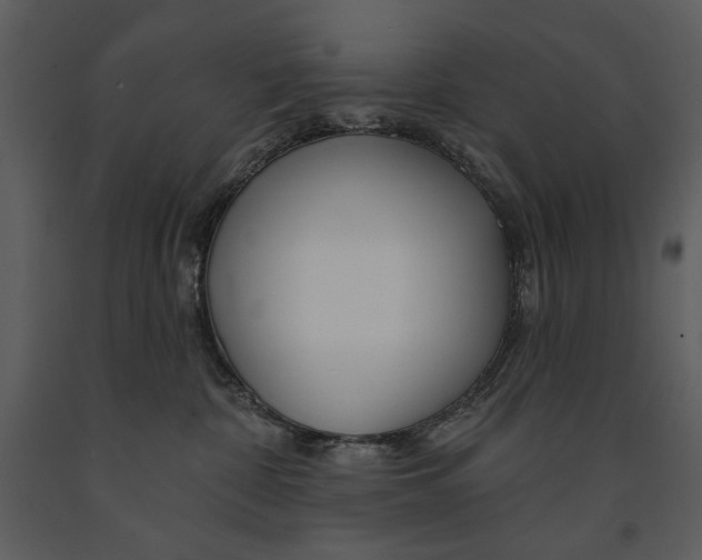 X0000090950332200708241135