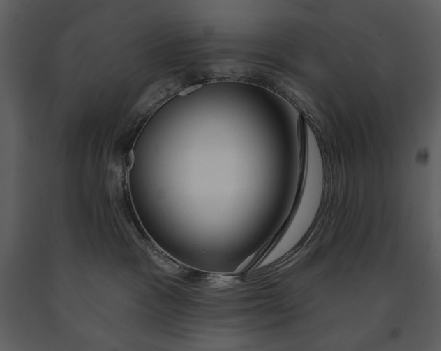 X0000090950333200708241135