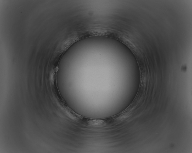 X0000090950334200708241135
