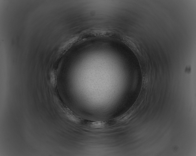 X0000090950335200708241135