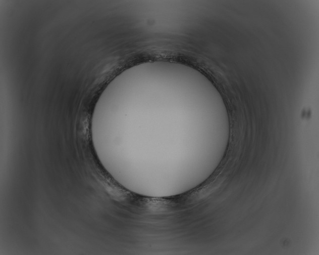 X0000090950336200708241135