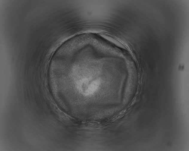 X0000090950337200708241134