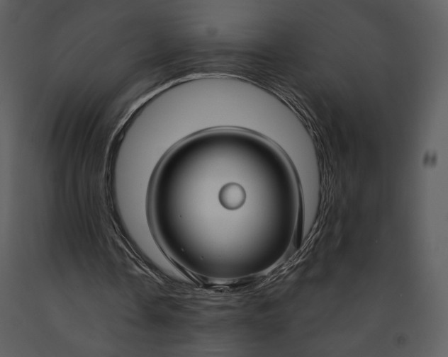 X0000090950338200708241134