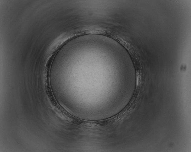 X0000090950339200708241134