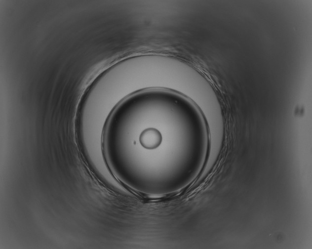 X0000090950340200708241134