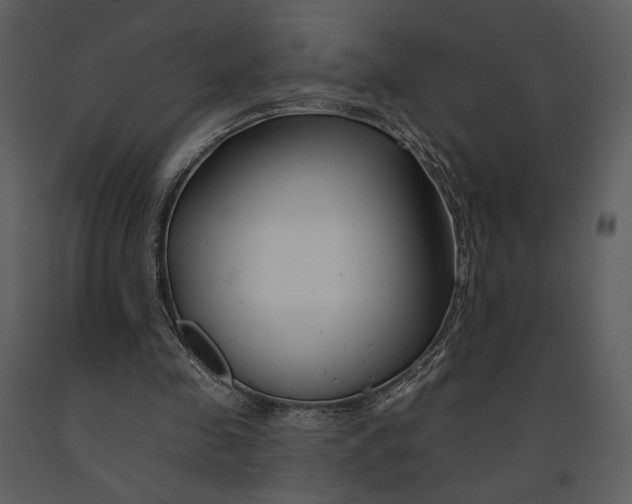 X0000090950341200708241134