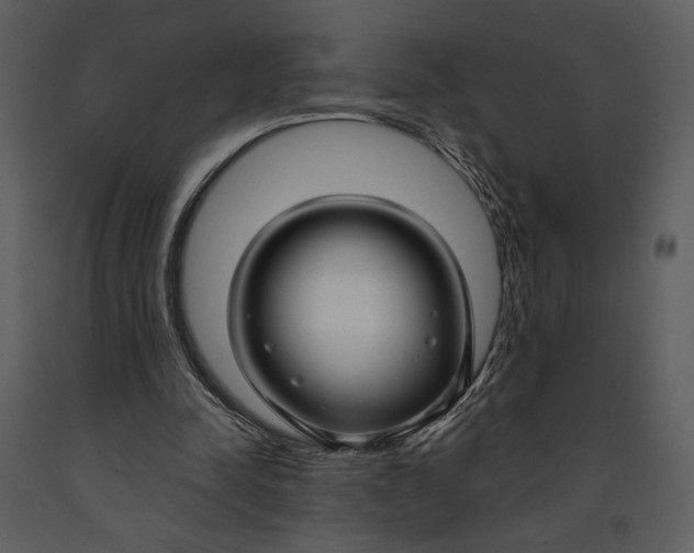 X0000090950342200708241134