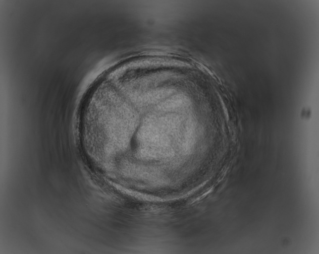 X0000090950343200708241134