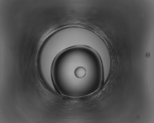 X0000090950344200708241134