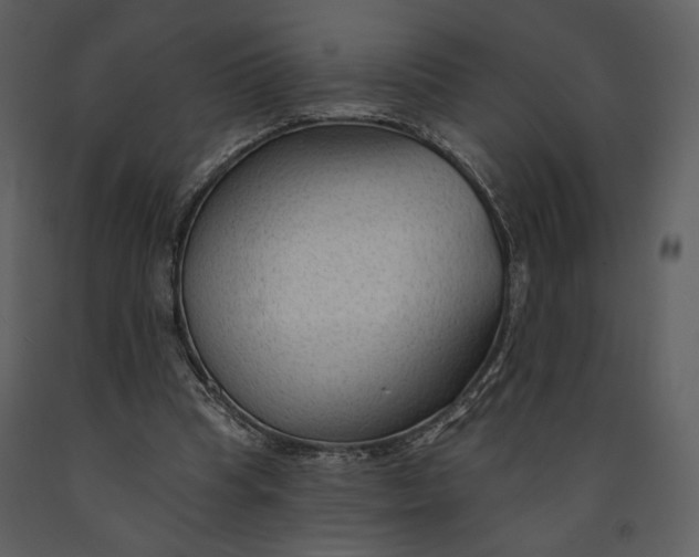 X0000090950345200708241134