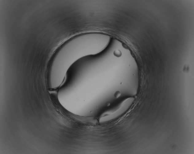 X0000090950346200708241134