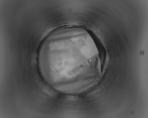 X0000090950347200708241134