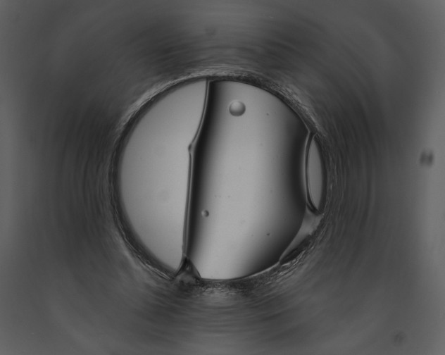X0000090950348200708241134