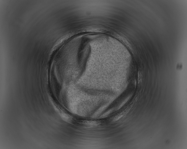 X0000090950349200708241134