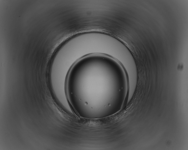 X0000090950350200708241134