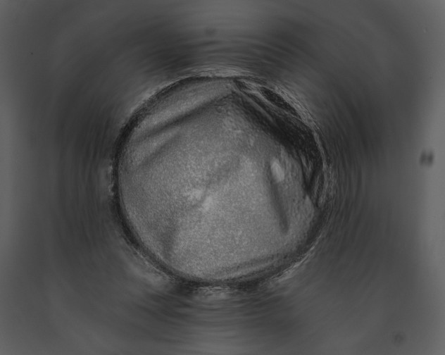 X0000090950351200708241134