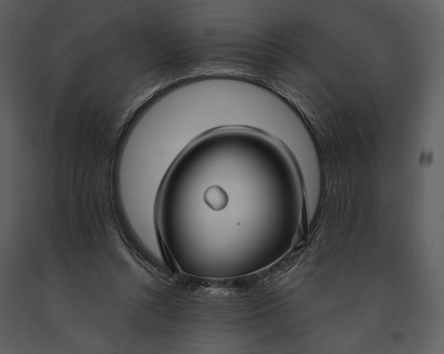 X0000090950352200708241134
