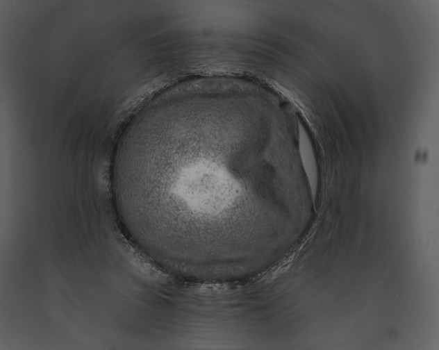 X0000090950353200708241134