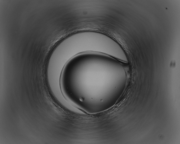 X0000090950354200708241134