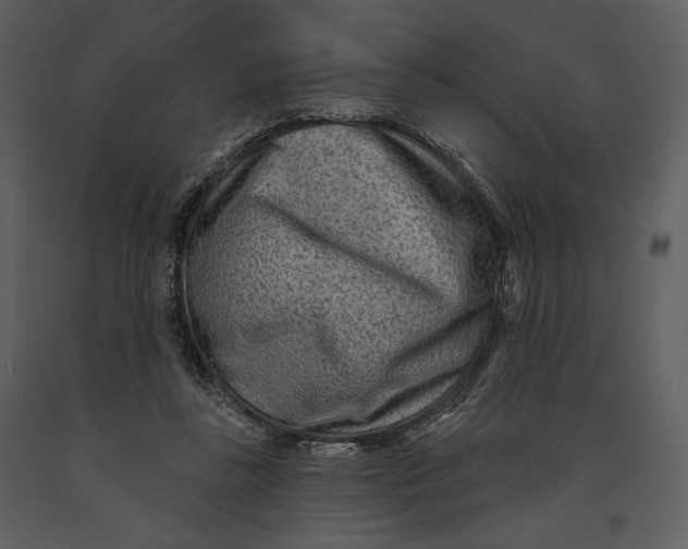 X0000090950355200708241134