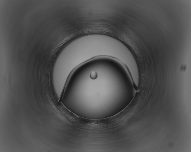 X0000090950356200708241134