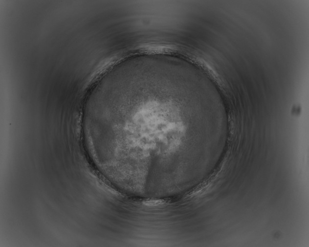 X0000090950357200708241134