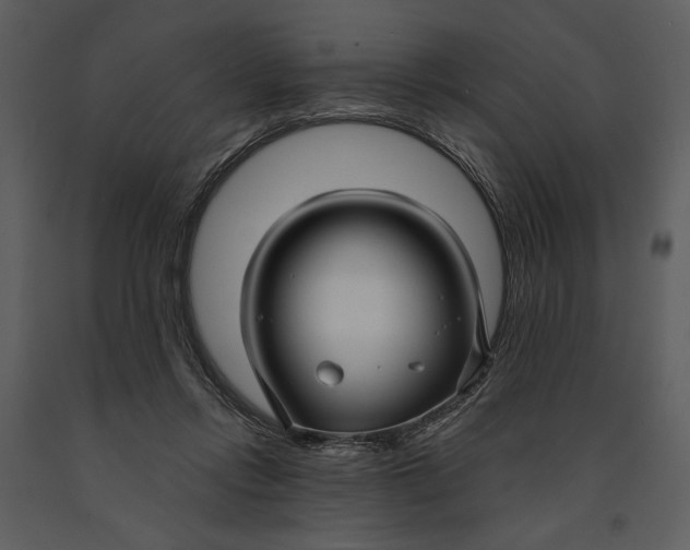 X0000090950358200708241134