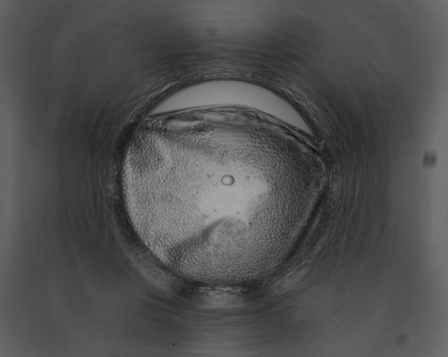 X0000090950359200708241134