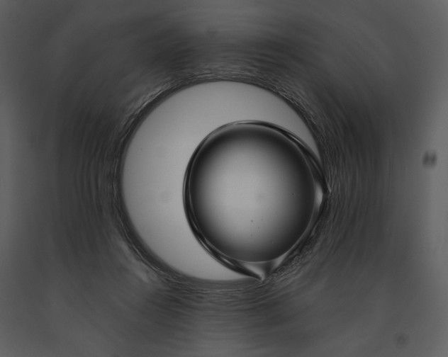 X0000090950360200708241134