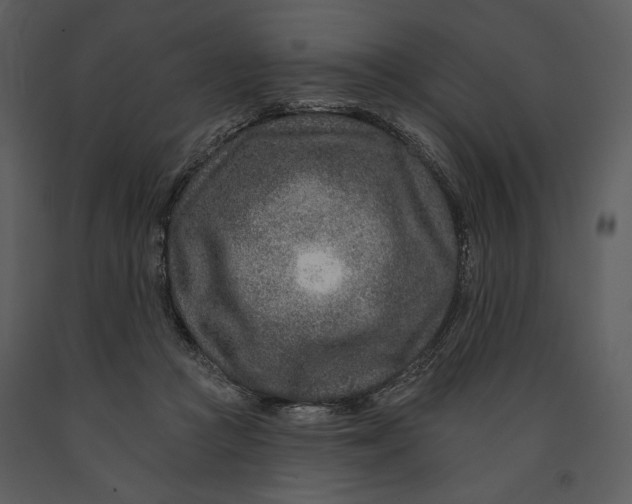 X0000090950361200708241134