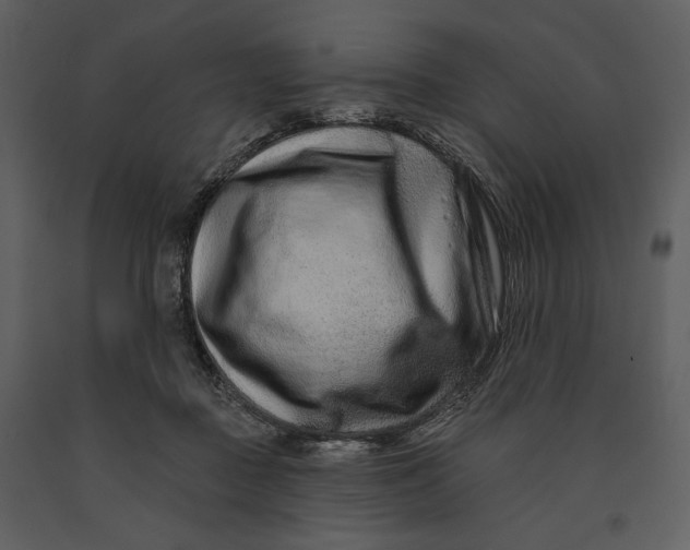 X0000090950363200708241134