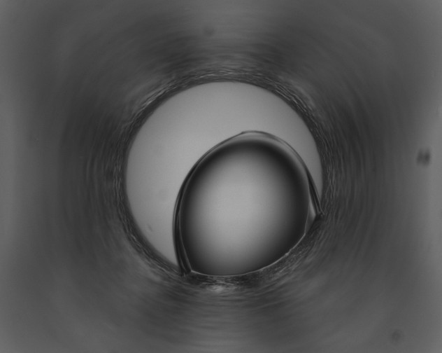 X0000090950364200708241134