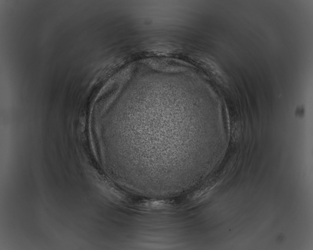 X0000090950365200708241134