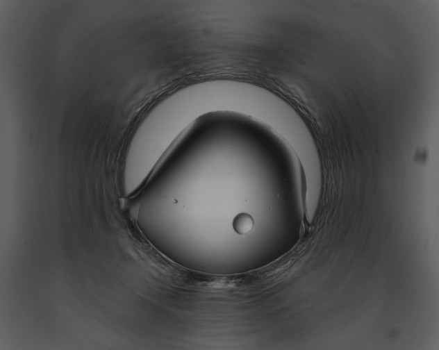 X0000090950366200708241134