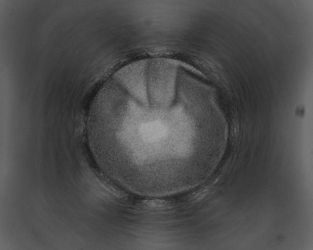 X0000090950367200708241134