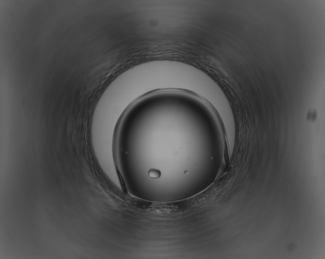 X0000090950368200708241134