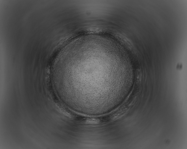 X0000090950369200708241135