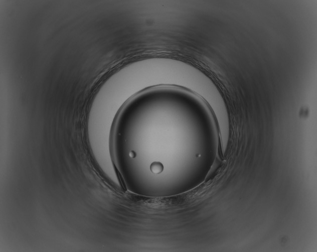 X0000090950370200708241135