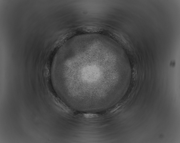 X0000090950371200708241135