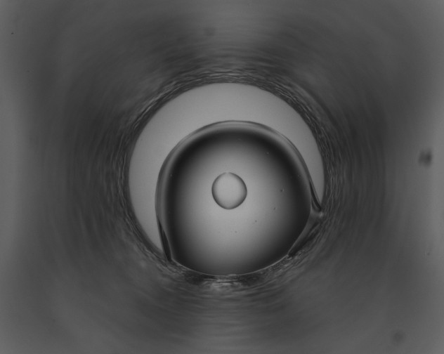 X0000090950372200708241135
