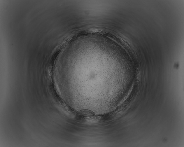 X0000090950373200708241135